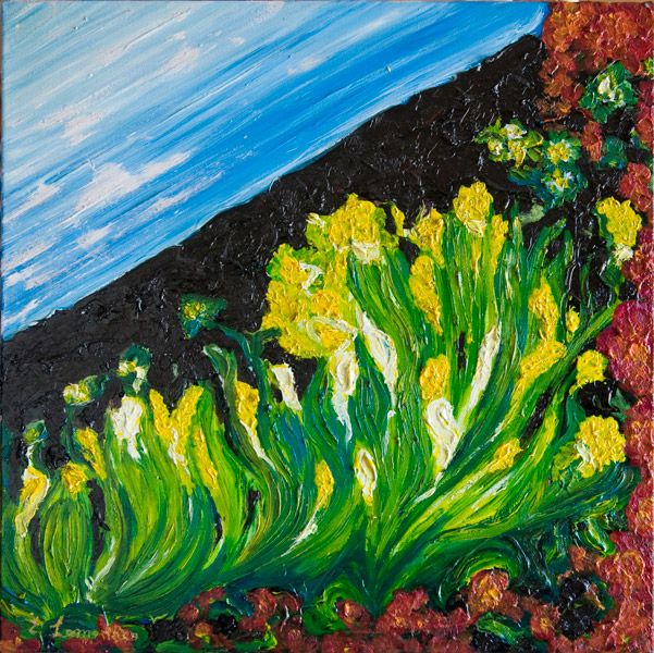 Lava e Fiori nello Spazio